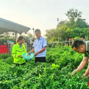 小菜园 大作为 攸县管理所绘就员工“幸福底色”