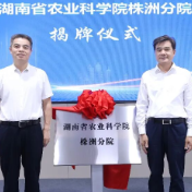 省农业科学院株洲分院揭牌