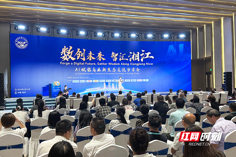 AI如何重塑湖南商贸新生态？这场分享会给出答案