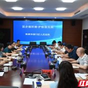 渌口法院召开“法企面对面”座谈会