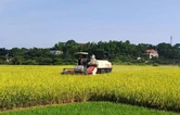 天元区获评国家级农创示范区
