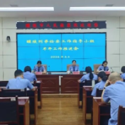 醴陵市人民检察院刑事检察工作指导小组召开半年工作推进会