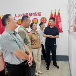 株洲市人大到炎陵县指导县乡两级人大换届选举工作