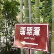 视频丨炎陵青石岗藏着夏日最治愈的清凉秘境