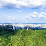 世界你好，我是“欣”石峰