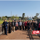 九九重阳暖人心 2020淞欣学校退休教师齐聚重阳佳节