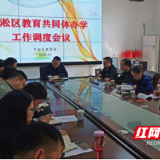 持续发力 芦淞区教育局调度城乡发展共同体建设工作