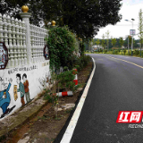 株洲市基本实现农村公路“组组通”的目标