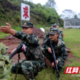 聚焦实战丨武警株洲支队勤训轮换让官兵加钢淬火