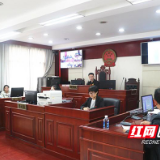 炎陵县人民法院：人大代表旁听庭审