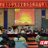 贺家土小学党总支委员会换届选举大会圆满结束
