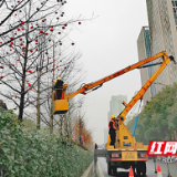 大小灯笼高高挂 天元区新春氛围越来越浓
