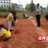 双牌小学劳动实践基地开园啦