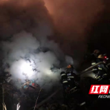 株洲经开区：危险！垃圾堆起火险些引燃山林