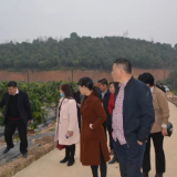 走出去 带回来!朱亭镇领导带队赴荷塘区交流学习