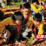 何家坳小学走进双牌小学劳动种植实践基地