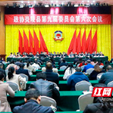 政协炎陵县第九届委员会第六次会议胜利闭幕