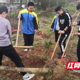 隆兴中学举行“绿色株洲我的家”主题团日活动