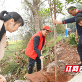 攸县：志愿服务到山村 干群齐造林荫道