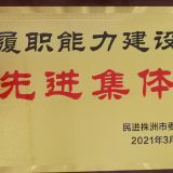 株洲市职工大学（工业学校）民进支部获多项表彰
