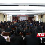 茶陵县人民法院召开队伍教育整顿工作推进会