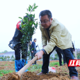 株洲烟草：学党史“我为群众办实事”结对帮扶“送法送绿”下乡