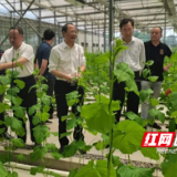 省农业农村厅一行来株洲开展农产品质量安全检查