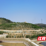 株洲市森林公安：社会公益性质项目使用林地也要依法依规