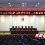 醴陵市法院召开队伍教育整顿第二次警示教育大会
