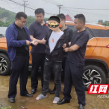 株洲渌口公安破获“隔窗挑物”系列盗窃案