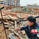 【株洲公安】宾佳：耐得烦、霸得蛮、沉得住的“佳大妈”