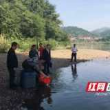茶陵县法院：非法捕捞？自行购买鱼苗放流“补过”