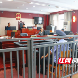 炎陵县法院邀请人大代表旁听庭审