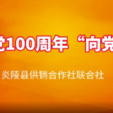 炎陵：供销联社齐唱红歌“向党诉衷情”