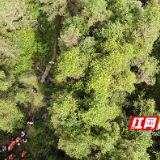 男子带农药进山欲轻生 炎陵消防动用无人机火速搜救