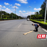 株洲天元交警及时清除带钉木板 消除道路安全隐患