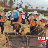 株洲市石峰区：乡村化身城市底色 农民振兴更有奔头