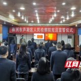 株洲芦淞区检察院举行宪法宣誓仪式