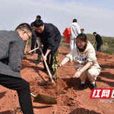 醴陵市法院在均楚镇开展义务植树活动