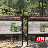 中村瑶族乡着力打造炎陵县第一家村级高标准中药材种植基地