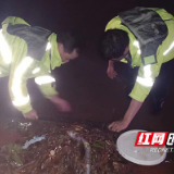 通宵暴雨 株洲石峰交警“雨”你同在