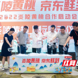 京东与炎陵黄桃“牵手”
