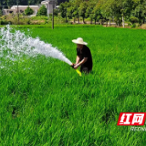 应对夏秋连旱 株洲水利人有“良方”