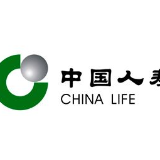 中国人寿寿险公司蝉联“全球保险科技企业奖”