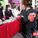 芦淞区检察院开展“3·15”消费者权益日法治宣传活动