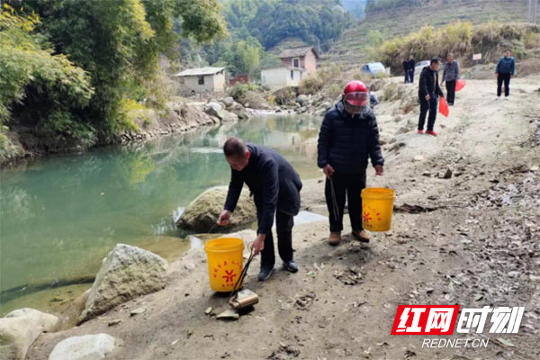 炎陵：清河净滩 守护绿水长流