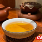 炎陵：龟龙窝茶园茶叶斩获两枚特别金奖