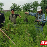 醴陵：保护生物多样性 “检察蓝”在行动