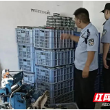 醴陵公安纵深推进“打非清剿”专项行动