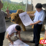 湖南工业大学“稻作天工”团队赴张家界开展秸秆创意转化实践